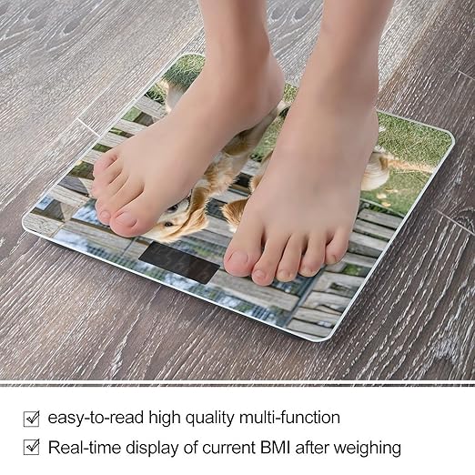 Golden Retriever Dogs Puppies Pets Bathroom Scale for Body Weight with High Precision Large LCD Backlight Display Digital Weighing Scale with BMI Capacity Up to 180kg
