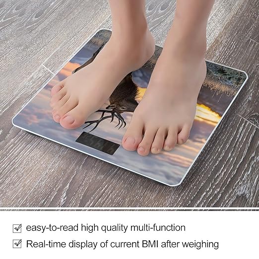 Red Deer Bull Elk Sunset Scale for Body Weight Accurate Digital Bathroom Scale Toughened Glass High Precision Scales Smart Weight Scales with Large LCD Backlight Display Weighing Machine