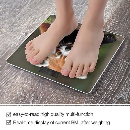 Animal Red Panda Scale for Body Weight Sturdy Tempered Glass Weighing Scales with LCD Display Accurate Digital Bathroom Scale Convenient Body Fat Smart Scales 400lb