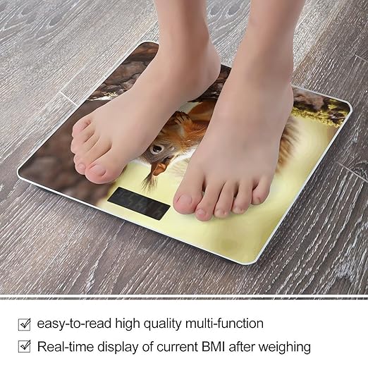 Funny Squirrel Bathroom Scale Large LCD Backlight Display Digital Scale Rounded Corners Body Scales Automatic Power On/Off Bathroom Scales for Home Bedrooms