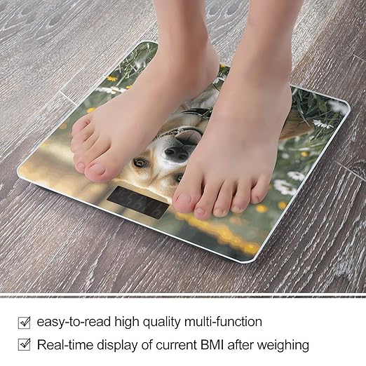 Animal Dog Photo Weight Scale Large Digital Bathroom Scales with Bright LED Display Non Slip Digital Scale and Step On Fashion Weighing Machine for Body