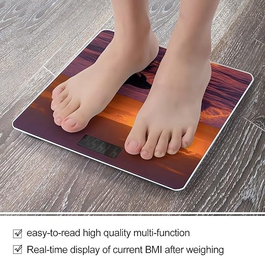 Sunset Dolphins Weight Scale for Body Weight Digital Bathroom Scale High Capacity Accurate Digital Weighing Scales and Easy-to-Read on Backlit LCD Display Scales