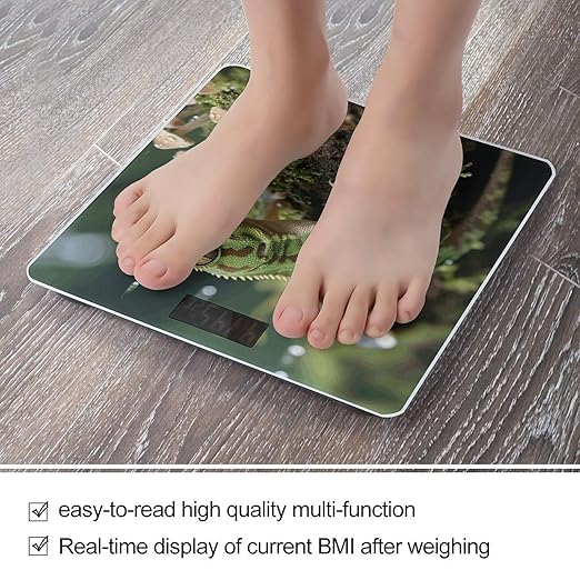 Crested Gecko Scale for Body Weight Sturdy Tempered Glass Weighing Scales with LCD Display Accurate Digital Bathroom Scale Convenient Body Fat Smart Scales Easy Read