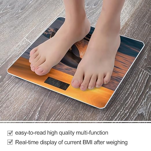 Dusk Dolphin Scale for Body Weight Sturdy Tempered Glass Weighing Scales with LCD Display Accurate Digital Bathroom Scale Convenient Body Fat Smart Scales 400lb