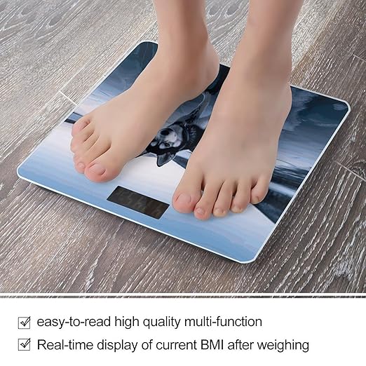 Digital Bathroom Scale for Body Weight Scale with Bright LCD Display High Accuracy Step-On Technology Auto On/Off Husky Dog on A Frozen Lake Digital Scales 400 Lbs /180kg