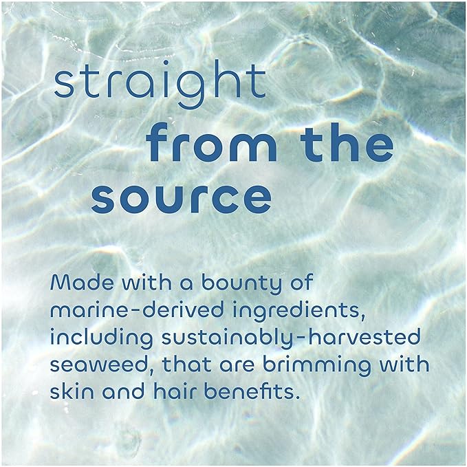 Seaweed Bath Co. Body Wash and Body Cream Duo 12 Ounce 6 Ounce Orange Cedar Scent Sustainably Harvested Seaweed