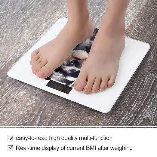 Well Behaved Schnauzer Bathroom Scale Automatic Power On/Off Body Scales LCD Backlight Display Square Digital Scale Rounded Corners Bathroom Scales for Home Bedrooms