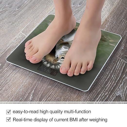Squirrel Weight Scale for Body Weight Digital Bathroom Scale High Capacity Accurate Digital Weighing Scales and Easy-to-Read on Backlit LCD Display Scales