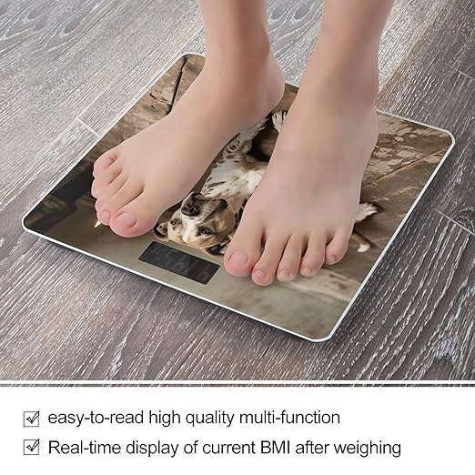 Animal Pit Bull Bathroom Scale for Body Weight Bathroom Digital Electronic Weighing Scale with Back Lit LED Display Sturdy Tempered Glass Weight Watchers Scales 400lb