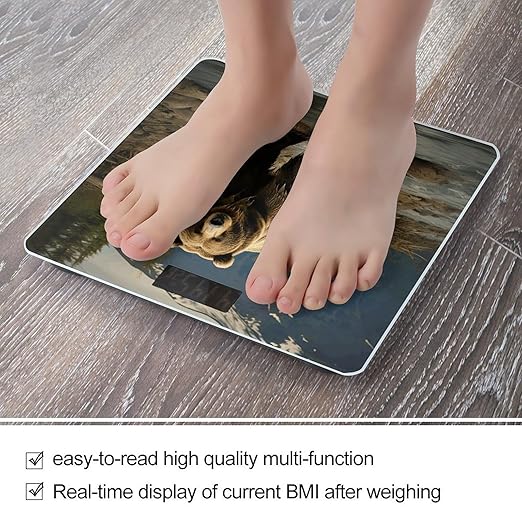 Brown Bear Scale for Body Weight Highly Accurate Digital Bathroom Scale Sturdy Tempered Glass Weighing Scales with LCD Display Fashion Body Fat Smart Scales 400lb