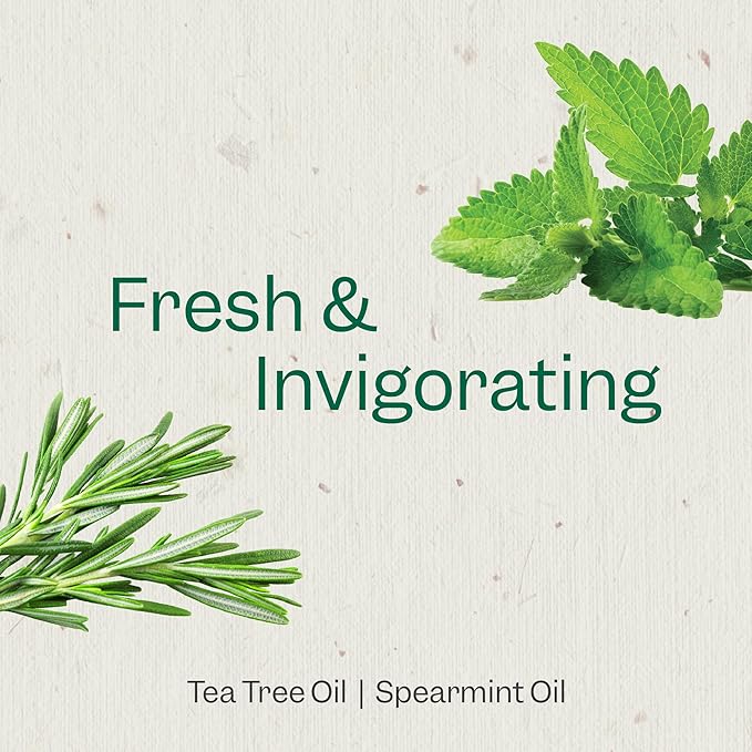 RENPURE Tea Tree &amp Mint Body Wash - Cleanses Invigorates &amp Refreshes Skin Without Over-Drying - For All Skin Types - Tea Tree Leaf Oil Spearmint Leaf Oil - 24 Fl Oz each2 Count (Pack of 2)