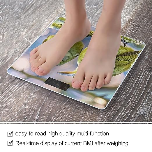 Cute Kiwi Birds Weight Scale Large Digital Bathroom Scales with Bright LED Display Non Slip Digital Scale and Step On Fashion Weighing Machine for Body