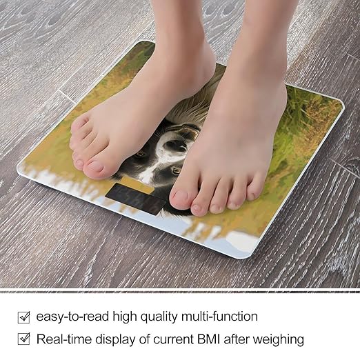 Mohado Border Collie Dog Bathroom Scale for Body Weight Bathroom Weighing Scale with Backlit LCD Display Highly Accurate Measures Weight Up to 180kg