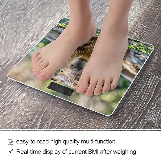 Digital Bathroom Scale for Body Weight Scale with Bright LCD Display High Accuracy Step-On Technology Auto On/Off Capybara with Eyes Closed Digital Scales 400 Lbs /180kg