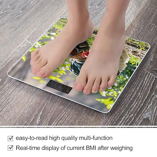 Rooster and Hen Scale for Body Weight Accurate Digital Bathroom Scale Toughened Glass High Precision Scales Smart Weight Scales with Large LCD Backlight Display Weighing Machine