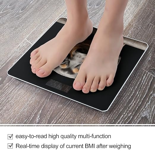 Digital Bathroom Scale for Body Weight Scale with Bright LCD Display High Accuracy Step-On Technology Auto On/Off Pad Dachshund Digital Scales 400 Lbs /180kg
