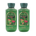 Bath &amp Body Works Shower Gel Gift Set of 2 10oz Each (Watermelon Mojito)