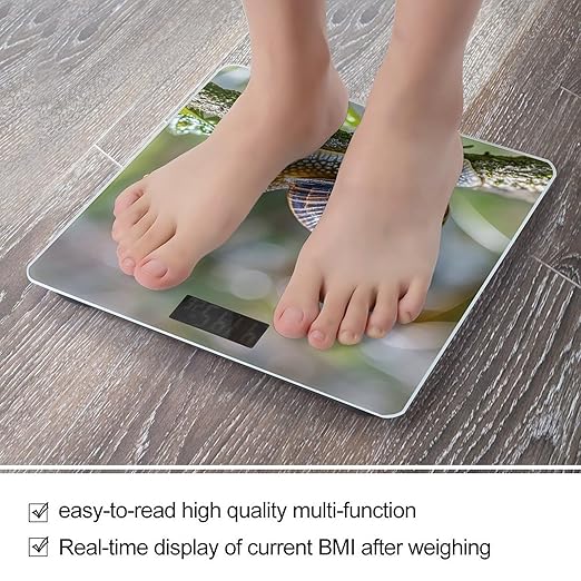 A Photo of A Snail Scale for Body Weight Sturdy Tempered Glass Weighing Scales with LCD Display Accurate Digital Bathroom Scale Convenient Body Fat Smart Scales Easy Read