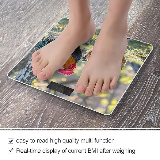 Beautiful Rooster Hen Scale for Body Weight Accurate Digital Bathroom Scale Toughened Glass High Precision Scales Smart Weight Scales with Large LCD Backlight Display Weighing Machine
