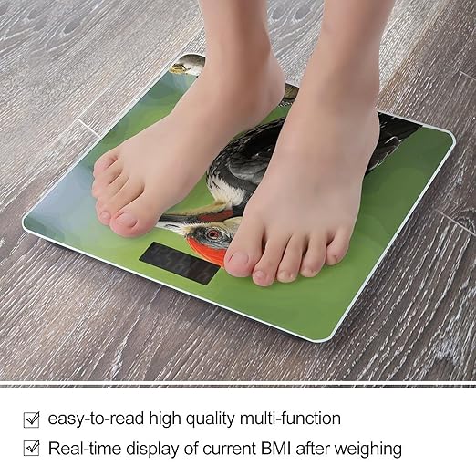 Cute Pileated Woodpecker Scale for Body Weight Accurate Digital Bathroom Scale Toughened Glass High Precision Scales Smart Weight Scales with Large LCD Backlight Display Weighing Machine