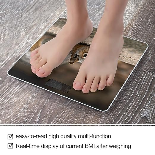 Squirrel Just Laying Bathroom Scale Ultra-Bright Liquid Crystal Screen Weight Scale Accurate Bathroom Body Scales for Body Weight Bathroom Pet Home Bedroom Gift-Giving