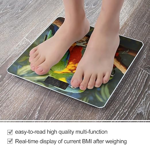 Bird Parrot Painting Scale for Body Weight Safe Rounded Corners Tempered Glass Digital Bathroom Scale LED Display 400lb Capacity Weight Scales with High Precision Sensors