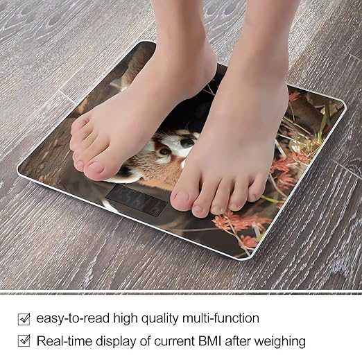 Red Pandas Bathroom Scale Automatic Power On/Off Body Scales LCD Backlight Display Square Digital Scale Rounded Corners Bathroom Scales for Home Bedrooms