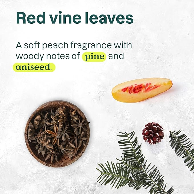 ATTITUDE Body Wash EWG Verified Shower Gel Dermatologically Tested Plant and Mineral-Based Vegan Personal Care Products Red Vine Leaves 16 Fl Oz (Pack of 6)