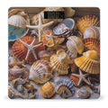 Sea Shell Treasures Scale for Body Weight Digital Bathroom Scale Accurate Smart Weight Scales with Large Display Weighing Machine High Precision Scales