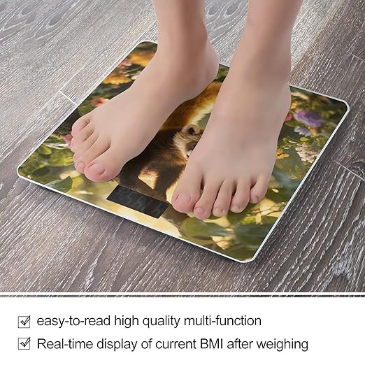 Kinkajou Weight Scale Cute Bathroom Scale for Body Highly Accurate Digital Weighing Machine for People Compact LCD Display Scales with Sturdy Toughened Glass Scales