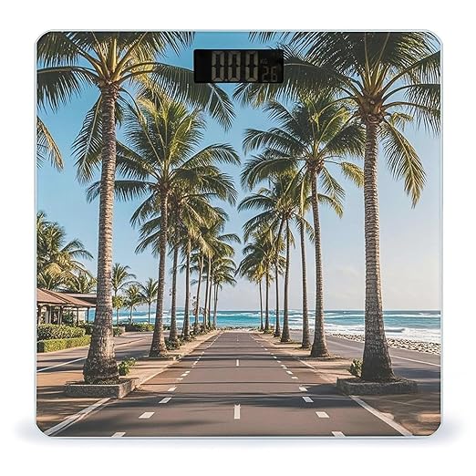Coastal Highway Scale for Body Weight Smart Scales Digital Bathroom Scale High Precision Weighing Scales with Large Display Weighing Machine for People