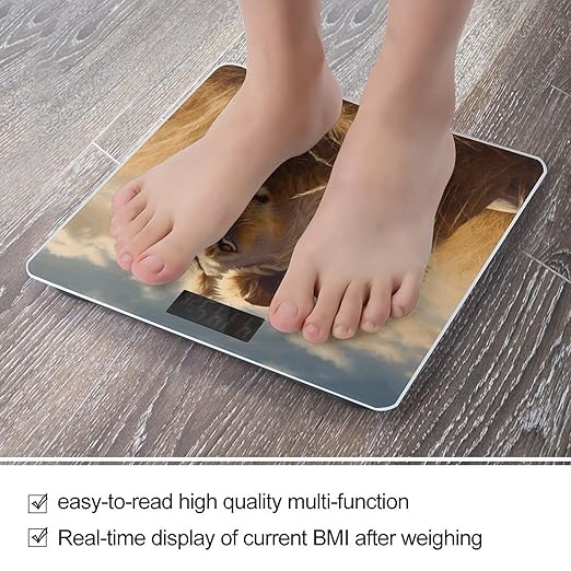 Prairie Lion Bathroom Scale Rounded Smart Scale for Body Weight Automatic Power On/Off Weight Scales Accurate Bathroom Digital Scales for Pet Home Bedroom Kitchen