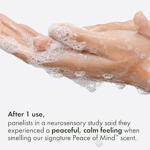 Origins Peace of Mind Daily Body Wash | Cleanses Skin &amp Awakens Your Senses| With Our Signature Scent of Peppermint Basil and Eucalyptus 6.7 Fl Oz