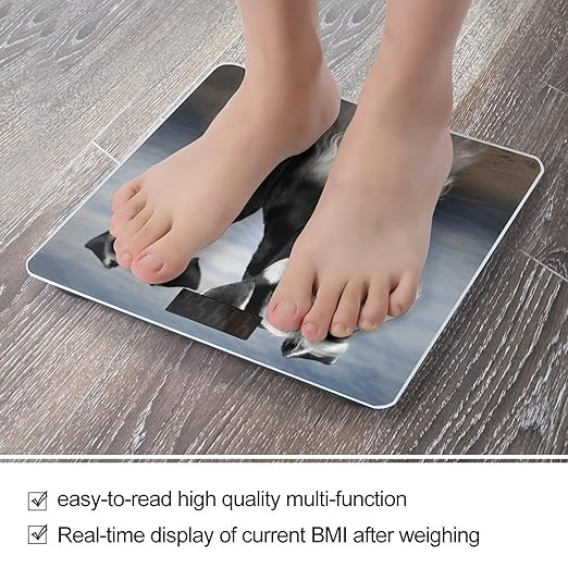 Animal Schnauzer Dog Bathroom Scale Large LCD Backlight Display Digital Scale Rounded Corners Body Scales Automatic Power On/Off Bathroom Scales for Home Bedrooms