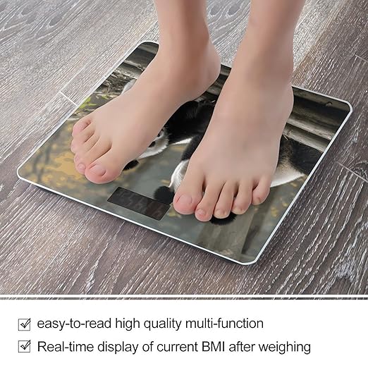 Two Big Pandas Bathroom Scale Automatic Power On/Off Body Scales LCD Backlight Display Square Digital Scale Rounded Corners Bathroom Scales for Home Bedrooms