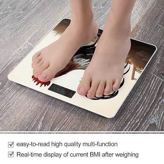 Rooster Scale for Body Weight Anti-Slip Tempered Glass Digital Bathroom Scales Clear LCD Display Weighing Scale Safe Rounded Corners Smart Scales