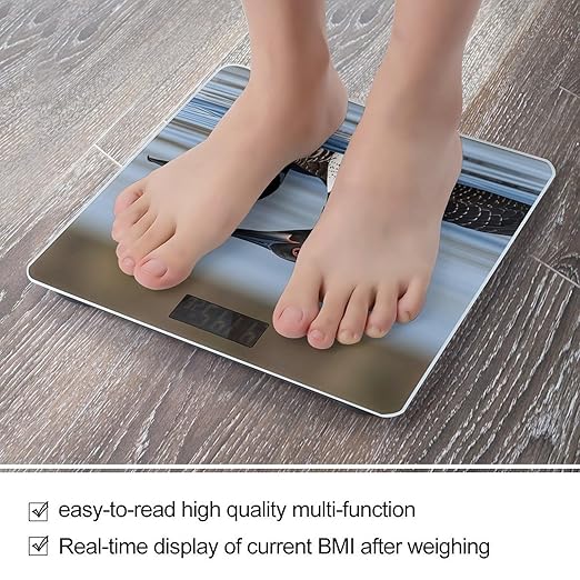 Loon Birds Smart Scale for Body Weight Accurate Bathroom Scale with LED Display Digital Weight Scales Weighing Machine High Precision Scales for Bath Home