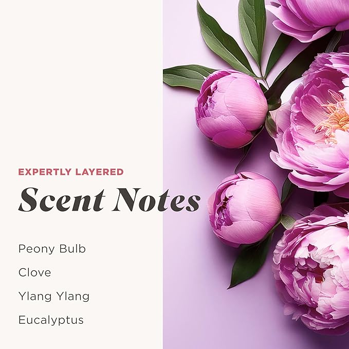Caress Peony &amp Almond Blossom Body Wash Hyaluronic Acid &amp Vitamin B3 for Moisturized Silky Soft Skin Long-Lasting Floral Bouquet Fragrance 20 fl oz (4 Pack)