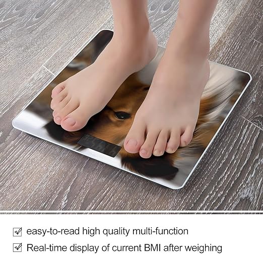 Shetland Sheepdog Bathroom Scale Large LCD Backlight Display Digital Scale Rounded Corners Body Scales Automatic Power On/Off Bathroom Scales for Home Bedrooms