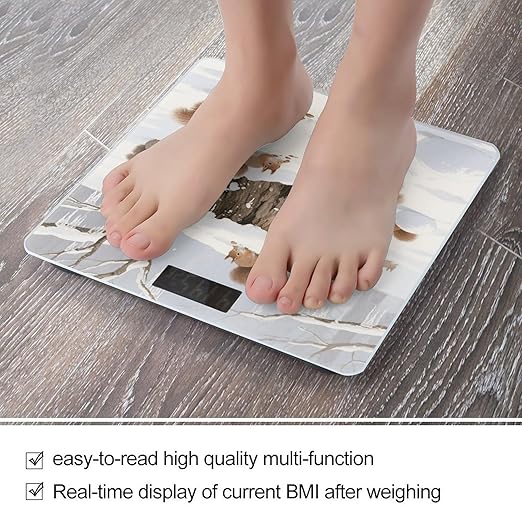 Squirrel Bathroom Scale for Body Weight Bathroom Digital Electronic Weighing Scale with Back Lit LED Display Sturdy Tempered Glass Weight Watchers Scales 400lb