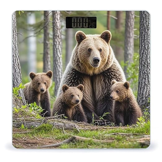 Mother Bear Cubs Scale for Body Weight Smart Scales Digital Bathroom Scale High Precision Weighing Scales with Large Display Weighing Machine for People