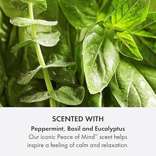 Origins Peace of Mind Daily Body Wash | Cleanses Skin &amp Awakens Your Senses| With Our Signature Scent of Peppermint Basil and Eucalyptus 6.7 Fl Oz