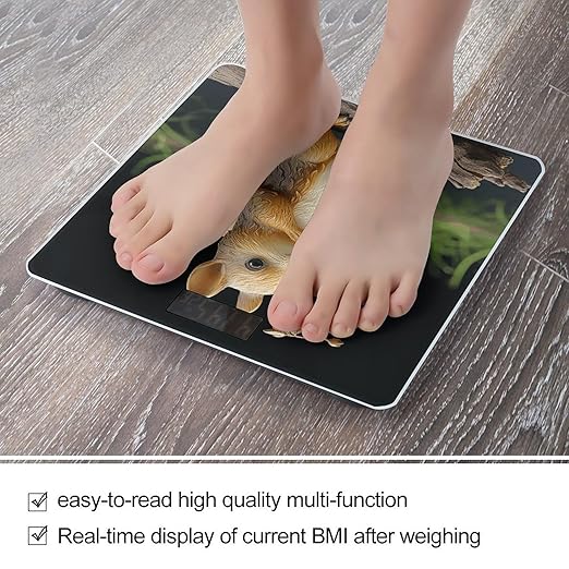 Resin Squirrel Scale for Body Weight Anti-Slip Tempered Glass Digital Bathroom Scales Clear LCD Display Weighing Scale Safe Rounded Corners Smart Scales