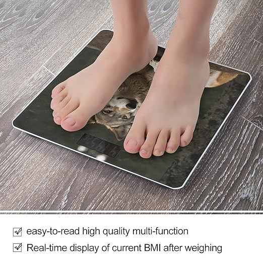 Gray Wolf Smart Scale for Body Weight Accurate Bathroom Scale with LED Display Digital Weight Scales Weighing Machine High Precision Scales for Bath Home