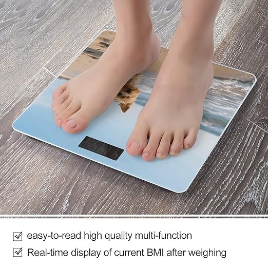 Yorkshire Terrier on Beach Weight Scale Cute Bathroom Scale for Body Highly Accurate Digital Weighing Machine for People Compact LCD Display Scales with Sturdy Toughened Glass Scales