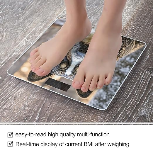 French Poodle Scale for Body Weight Highly Accurate Digital Bathroom Body Scale Digital Bathroom Scales for People Anti-Slip Large LCD Display Smart Scales