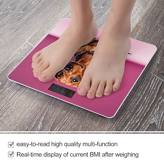 Dachshund Weiner Dog Scale for Body Weight Sturdy Tempered Glass Weighing Scales with LCD Display Accurate Digital Bathroom Scale Convenient Body Fat Smart Scales Easy Read