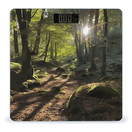 Sunshine in The Woods Scale for Body Weight Accurate Digital Bathroom Scale Toughened Glass High Precision Scales Smart Weight Scales with Large LCD Backlight Display Weighing Machine