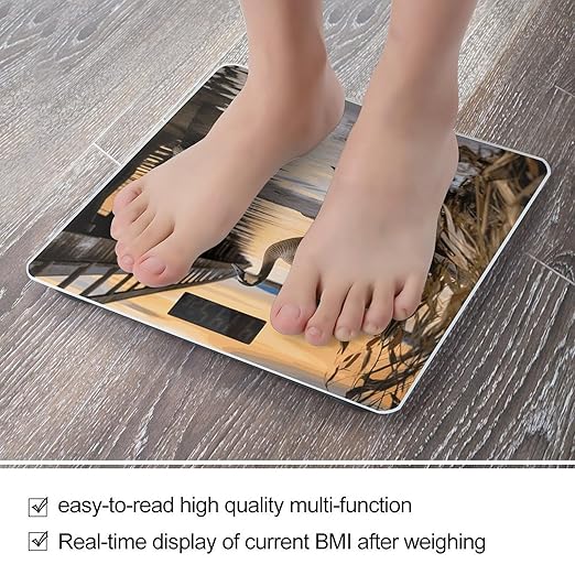 Wild Goose by The Bridge Bathroom Scale for Body Weight Bathroom Weighing Scale with Backlit LCD Display Highly Accurate Measures Weight Up to 180kg