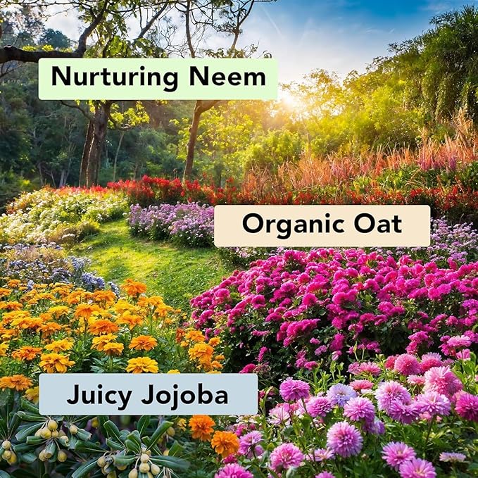 Body Wash Set of 3 – Jojoba Oat &amp Neem | Soothing &amp Exfoliating Shower Gel with Niacinamide &amp Salicylic Acid | Deep Cleansing &amp Hydrating | For All Skin Types | 118ml Each
